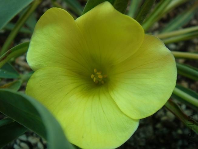 ������С DSC05429.JPG