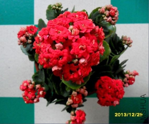12-31-20-4-39.jpg