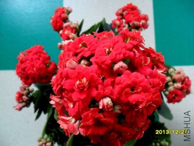 12-31-20-0-22.jpg