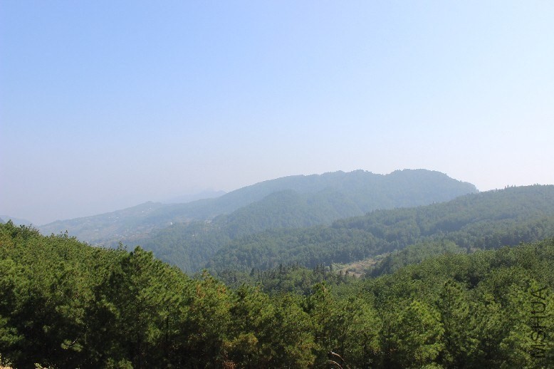QQͼƬ20140101112405.jpg