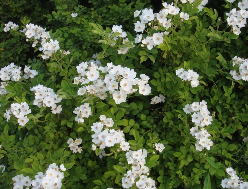Ǿޱ�� (2).jpg