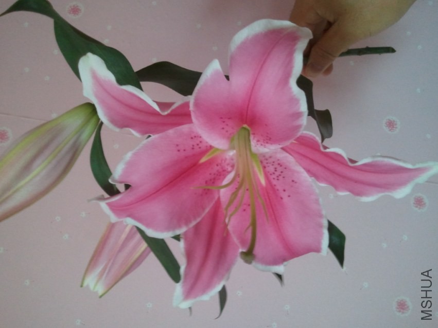 2013-06-23 07.48.13.jpg