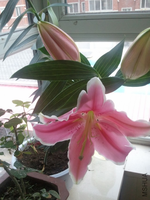 2013-06-22 15.23.43.jpg