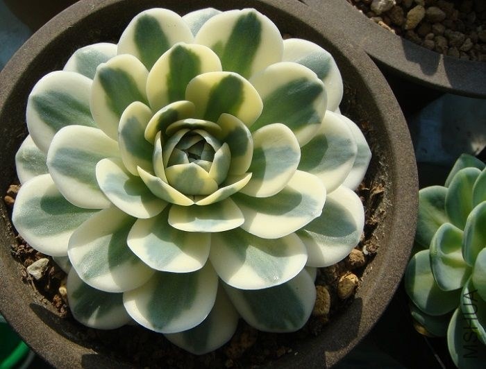 QQͼƬ20140102084244.jpg