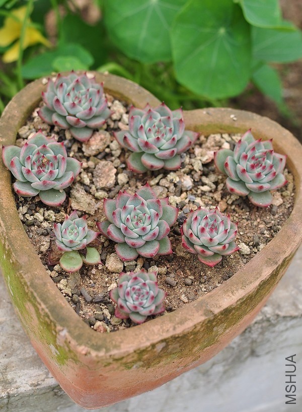 2013.3��2.jpg