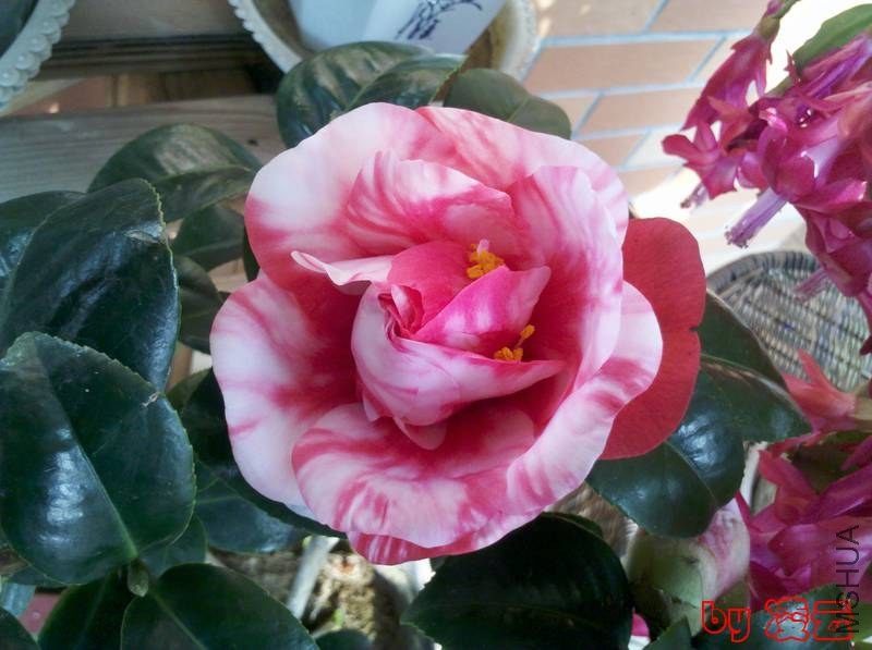 2013-01-09_12-10-57_28.jpg