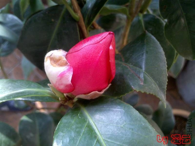 2013-11-29_13-37-23_437.jpg