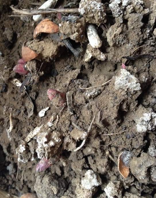 һ����ҩ��������