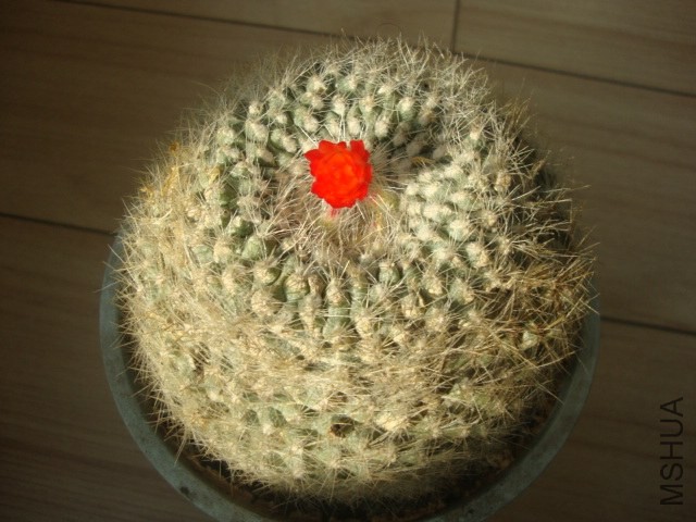 DSC03157.JPG