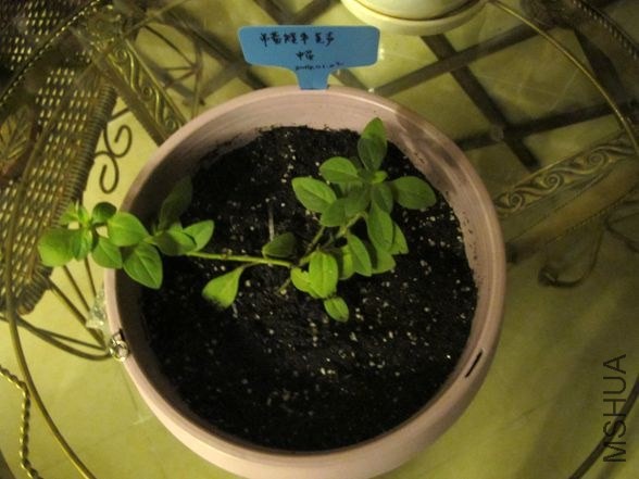 ��Ƭ 039_����.jpg