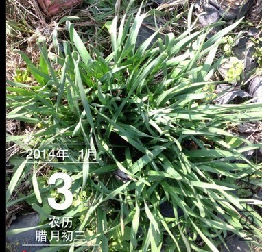 QQͼƬ20140103213523.jpg