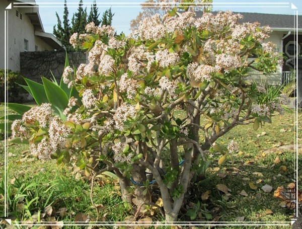 �ҵ���Ƭ10 228_����.jpg