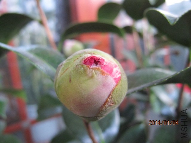 IMG_2565.JPG
