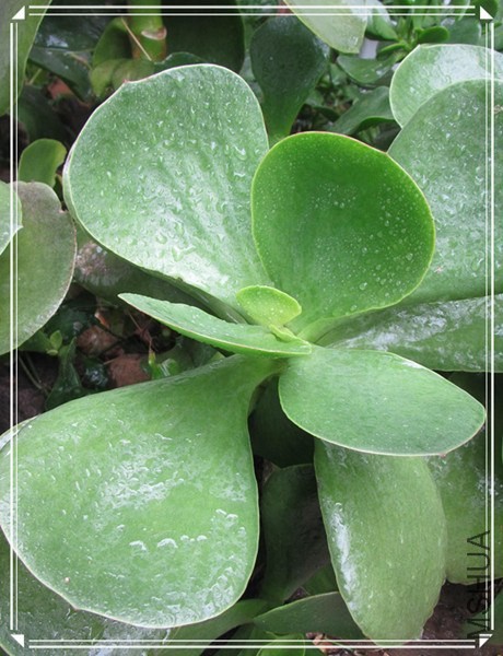 �ҵ���Ƭ10 052_����.jpg