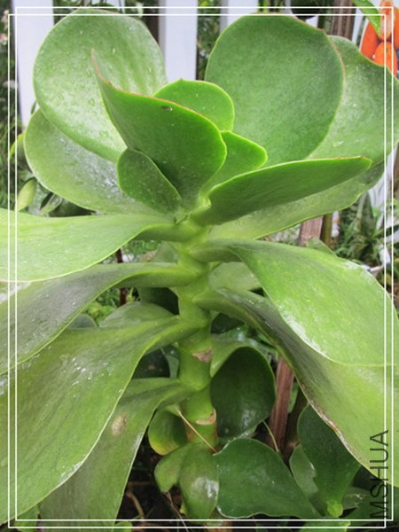 �ҵ���Ƭ10 053_����_����.jpg