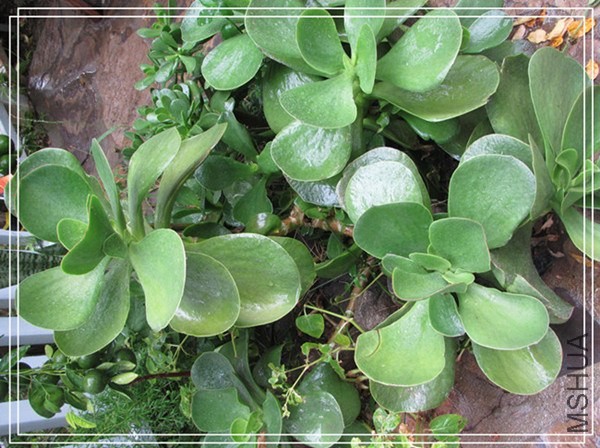 �ҵ���Ƭ10 054_����_����.jpg