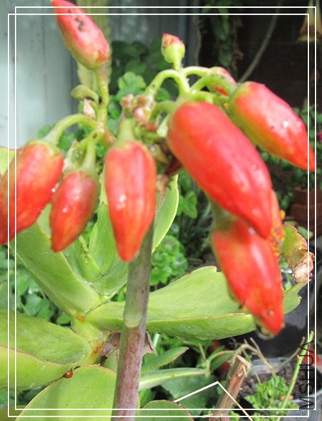 �ҵ���Ƭ10 170_����_����.jpg