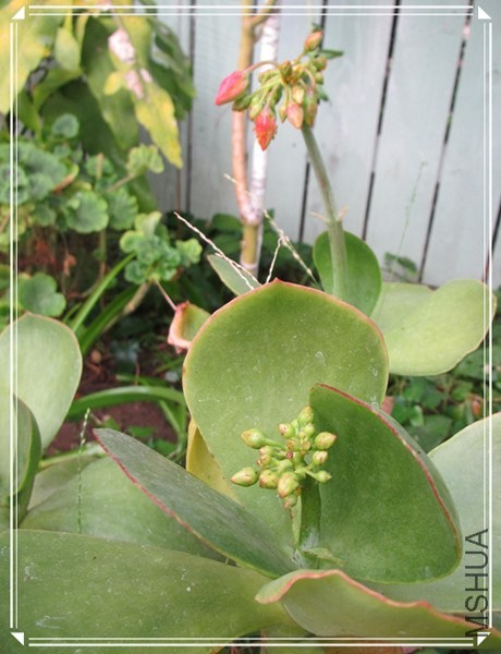 �ҵ���Ƭ10 050_����.jpg