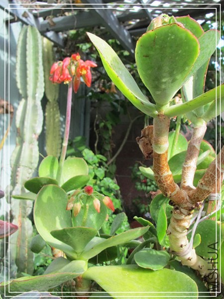 �ҵ���Ƭ10 171_����_����.jpg