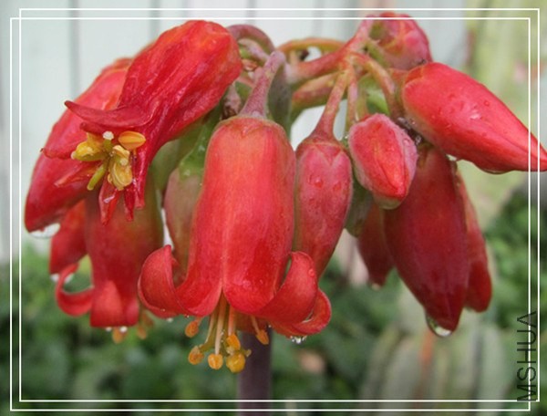 �ҵ���Ƭ10 169_����_����.jpg