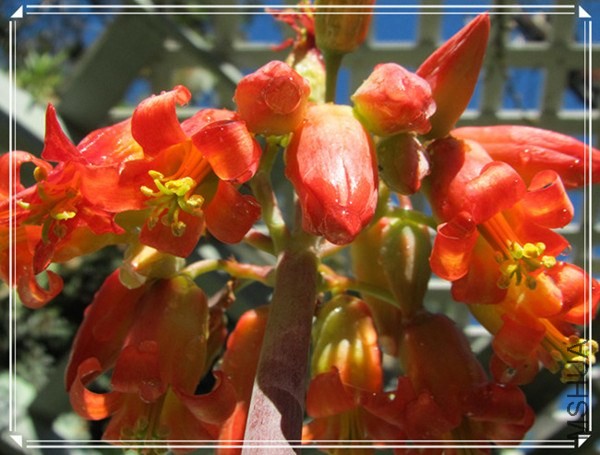 �ҵ���Ƭ10 198_����_����.jpg