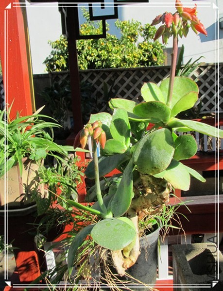 �ҵ���Ƭ10 207_����_����_����.jpg