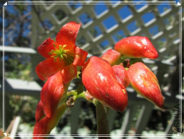 �ҵ���Ƭ10 197_����_����.jpg