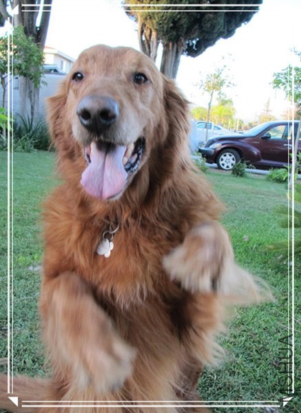 ��Ƭ6 222_����--2_����.jpg