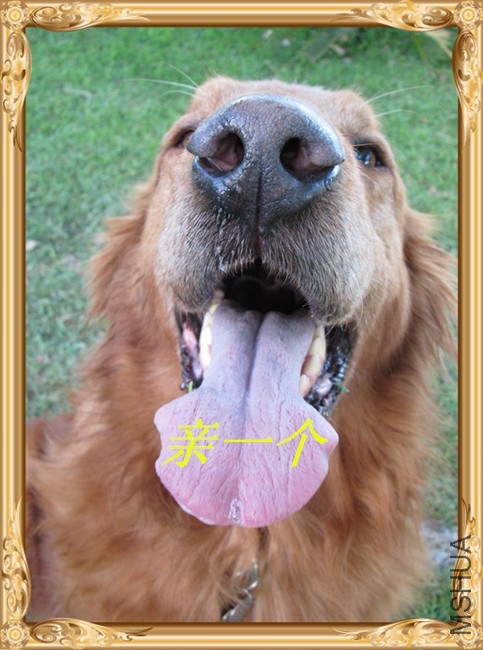 ��Ƭ6 226_����_����_����.jpg