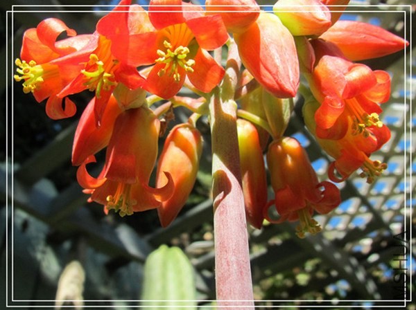 �ҵ���Ƭ10 181_����_����.jpg