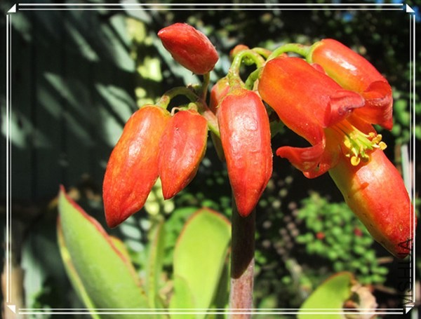 �ҵ���Ƭ10 180_����_����.jpg