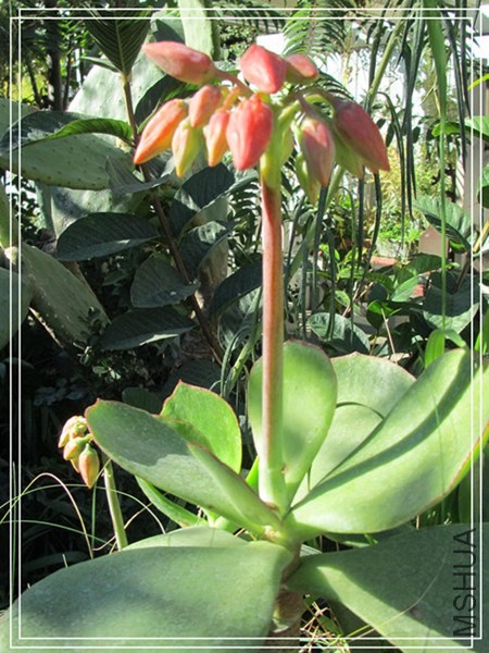 �ҵ���Ƭ10 179_����_����.jpg