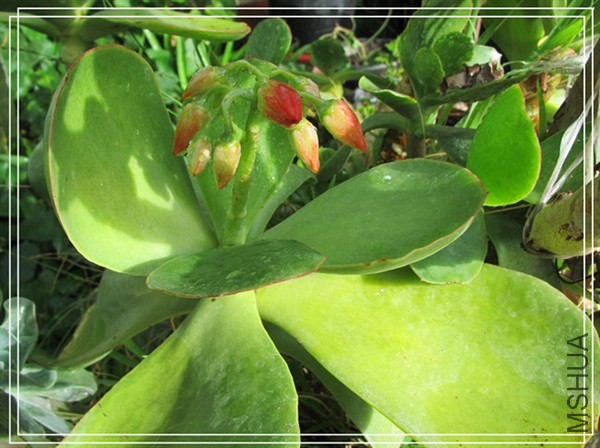 �ҵ���Ƭ10 172_����_����.jpg