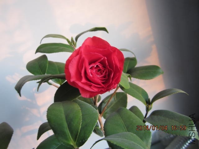 IMG_1551.JPG