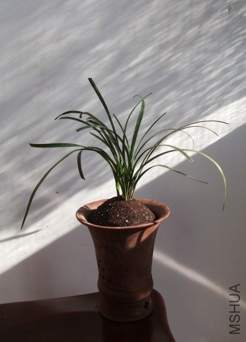 QQͼƬ20140104175359.jpg