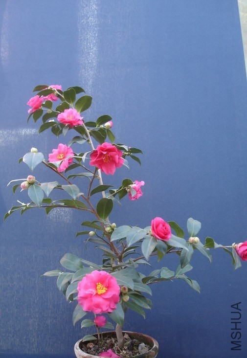QQ��ͼ20140104200737.jpg