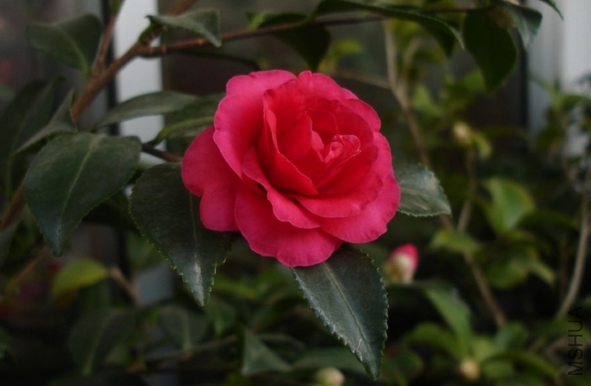 QQͼƬ20140104200547.jpg