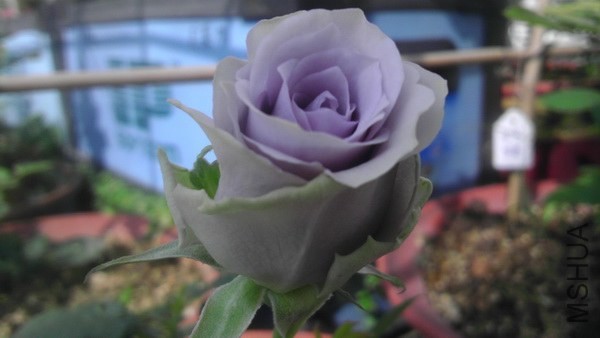 QQͼƬ20131210215051x.jpg