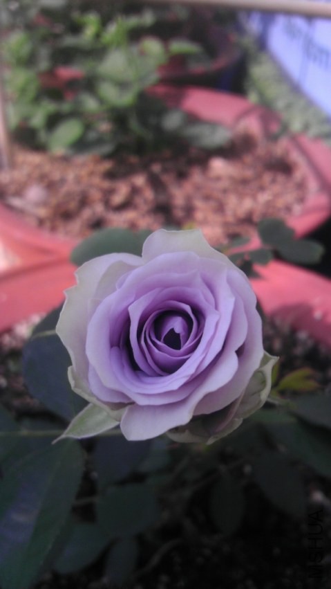 QQͼƬ20131210215030x.jpg