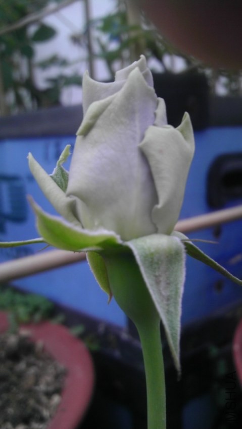 QQͼƬ20131210215036x.jpg