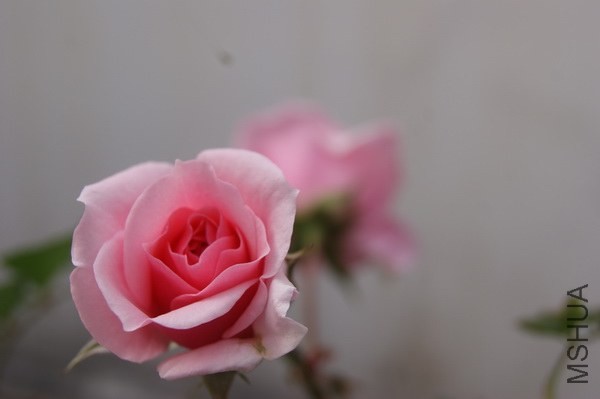 DSC07445xx.jpg