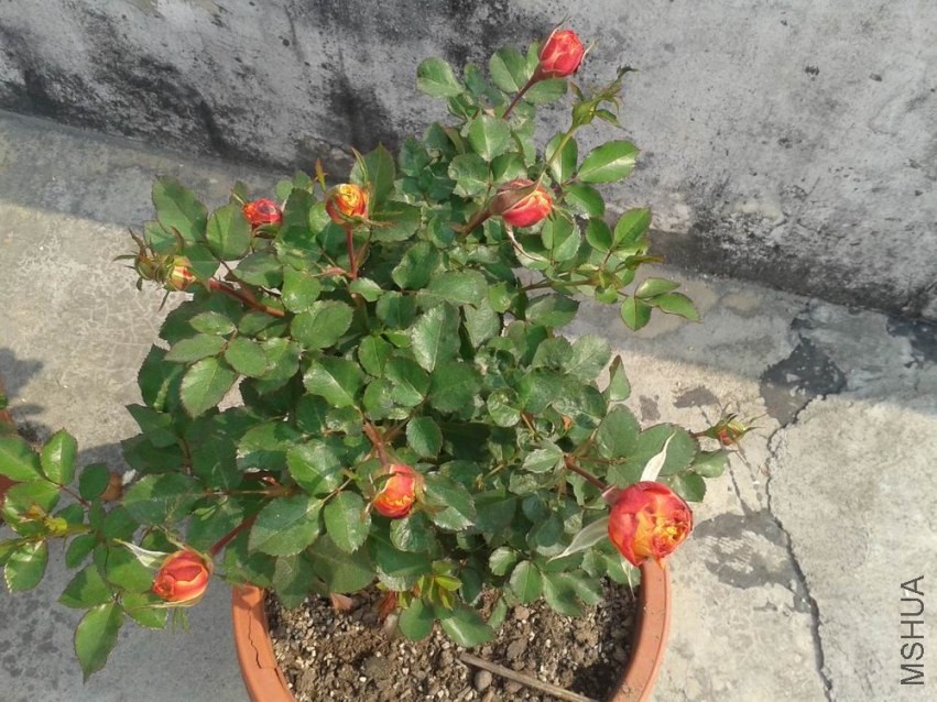 20140105_111804.jpg