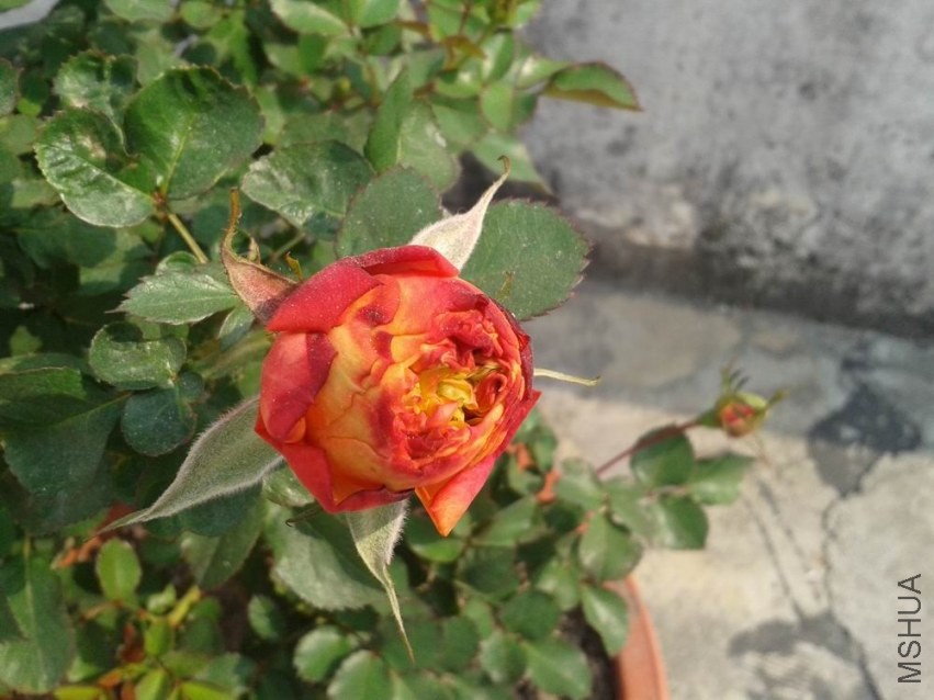 20140105_111811.jpg