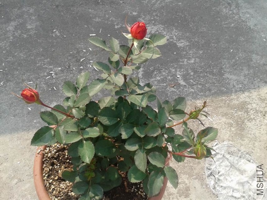 20140105_111829.jpg