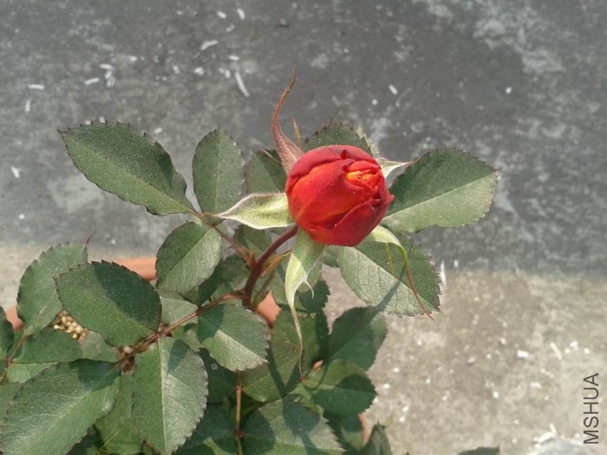 20140105_111834.jpg