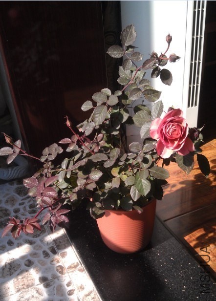 QQ��ͼ20140105134624.jpg