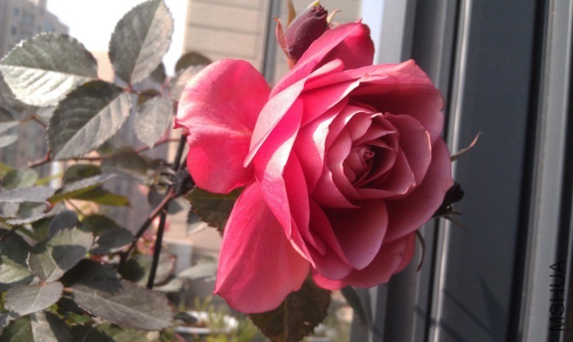 QQ��ͼ20140105134608.jpg