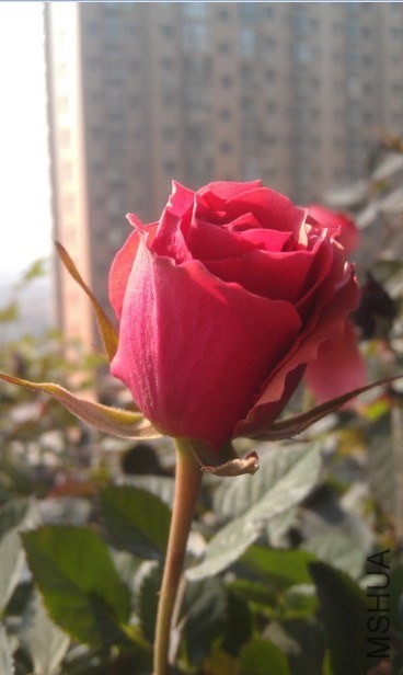 QQ��ͼ20140105134445.jpg