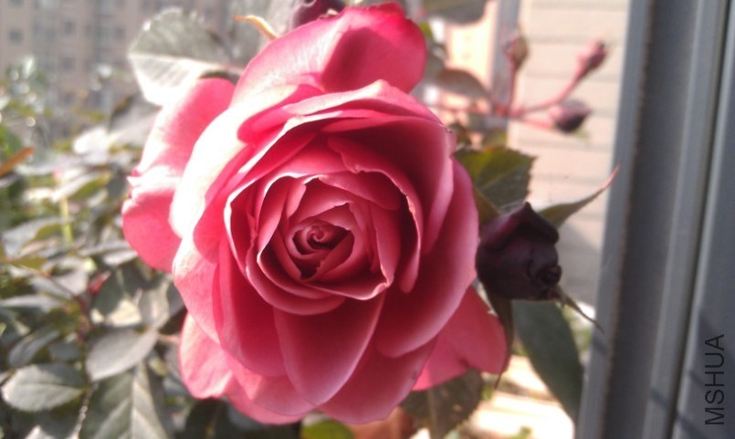 QQ��ͼ20140105134543.jpg