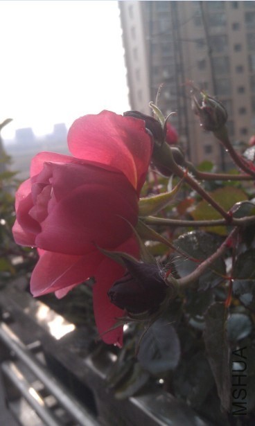 QQ��ͼ20140103165407.jpg